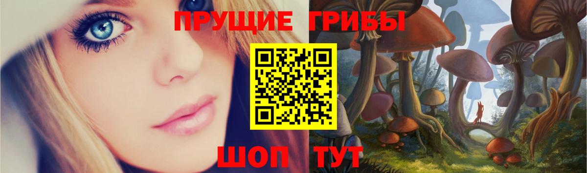 Белогорск  Псилоцибиновые грибы Cubensis  Вход с VPN  Псилоцибиновые грибы мицелий 