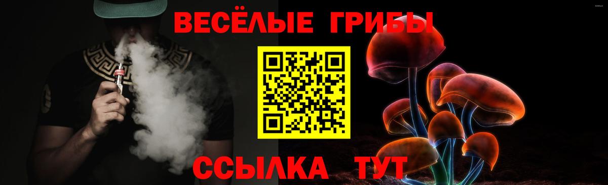 Псилоцибиновые грибы Psilocybe Белогорск